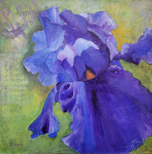 Dancing Iris by Ingrid Carson