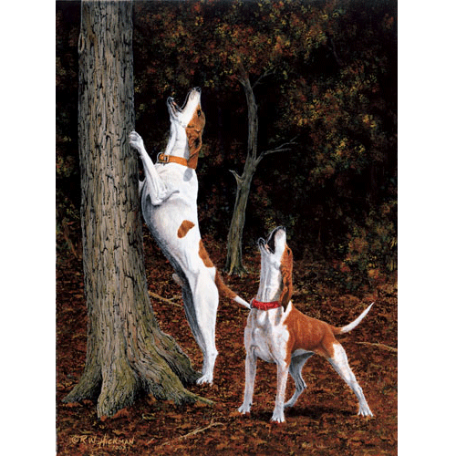 Music To My Ears - English Hound by Robert Hickman