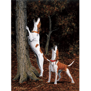 Music To My Ears - English Hound by Robert Hickman