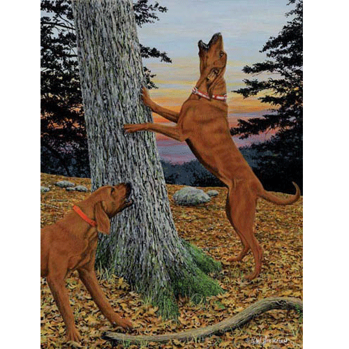Music To My Ears - Redbone Hound by Robert Hickman