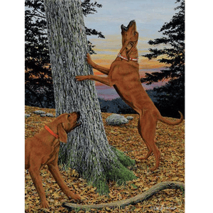 Music To My Ears - Redbone Hound by Robert Hickman