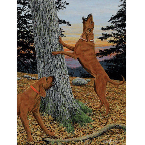 Music To My Ears - Redbone Hound by Robert Hickman