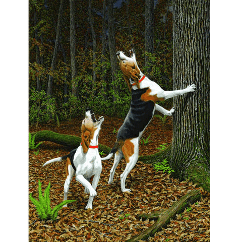 Music To My Ears - Treeing Walker by Robert Hickman